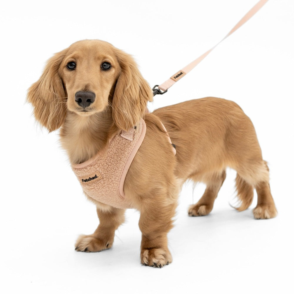 Original doggy clearance kingdom harness