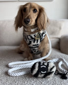 TEDDY FLEECE HARNESS IN RACING STRIPES - Image #3