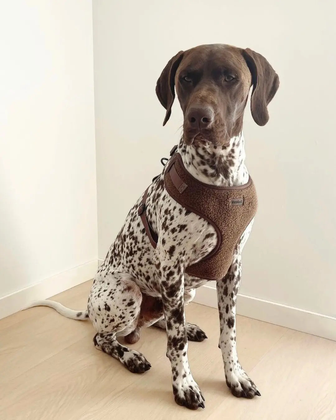 TEDDY FLEECE HARNESS IN CHOCOLATE - Image #3