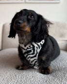 TEDDY FLEECE HARNESS IN RACING STRIPES - Image #5