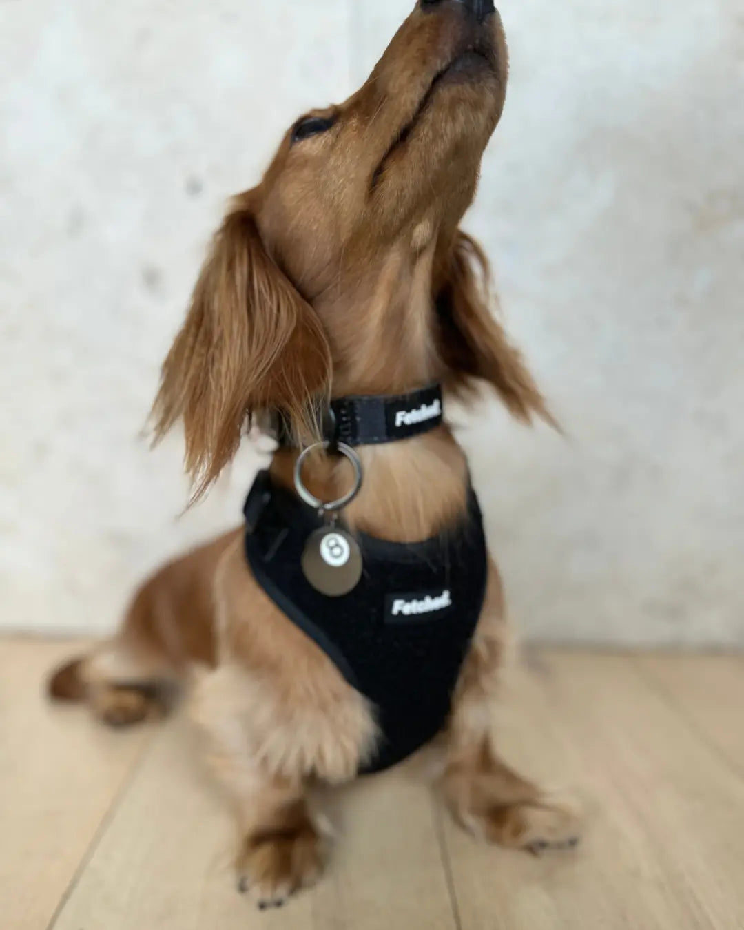 TEDDY FLEECE HARNESS IN BLACK - Image #2