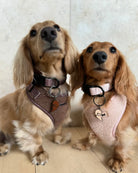 TEDDY FLEECE HARNESS IN BEIGE - Image #12