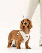 TEDDY FLEECE HARNESS IN CREAM - Image #8