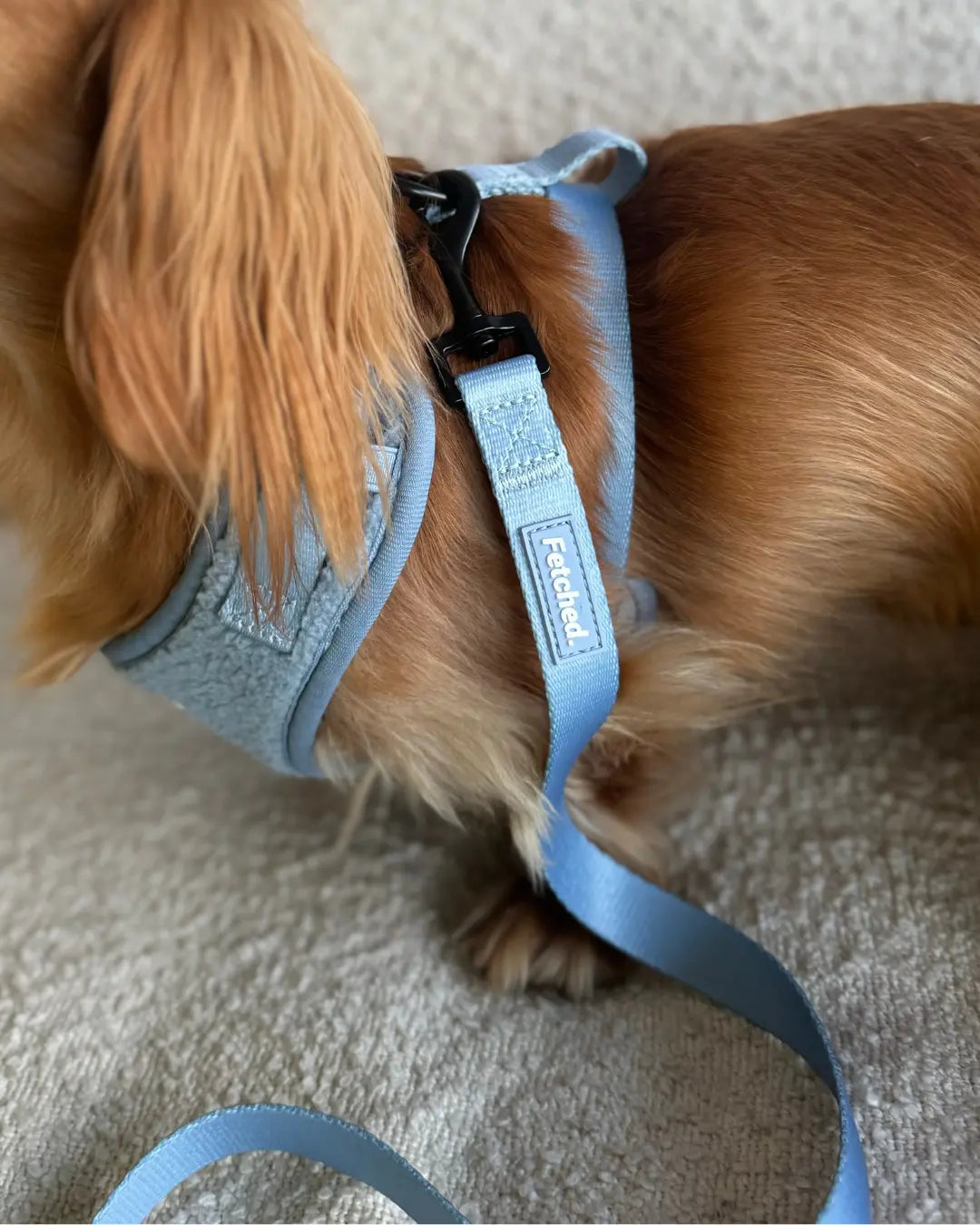 CLASSIC LEASH IN POWDER BLUE - Image #2