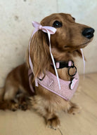 HAIR BOWS IN PINK - Image #3