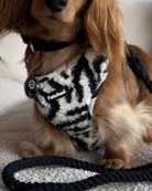 TEDDY FLEECE HARNESS IN RACING STRIPES - Image #1