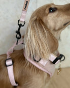 TEDDY FLEECE HARNESS IN BEIGE - Image #5