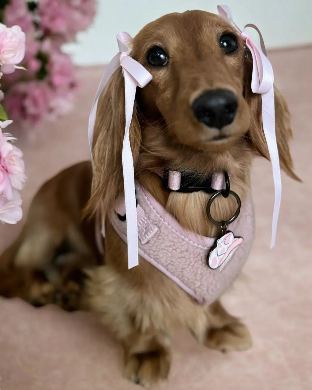 TEDDY FLEECE HARNESS IN PALE PINK - Image #1