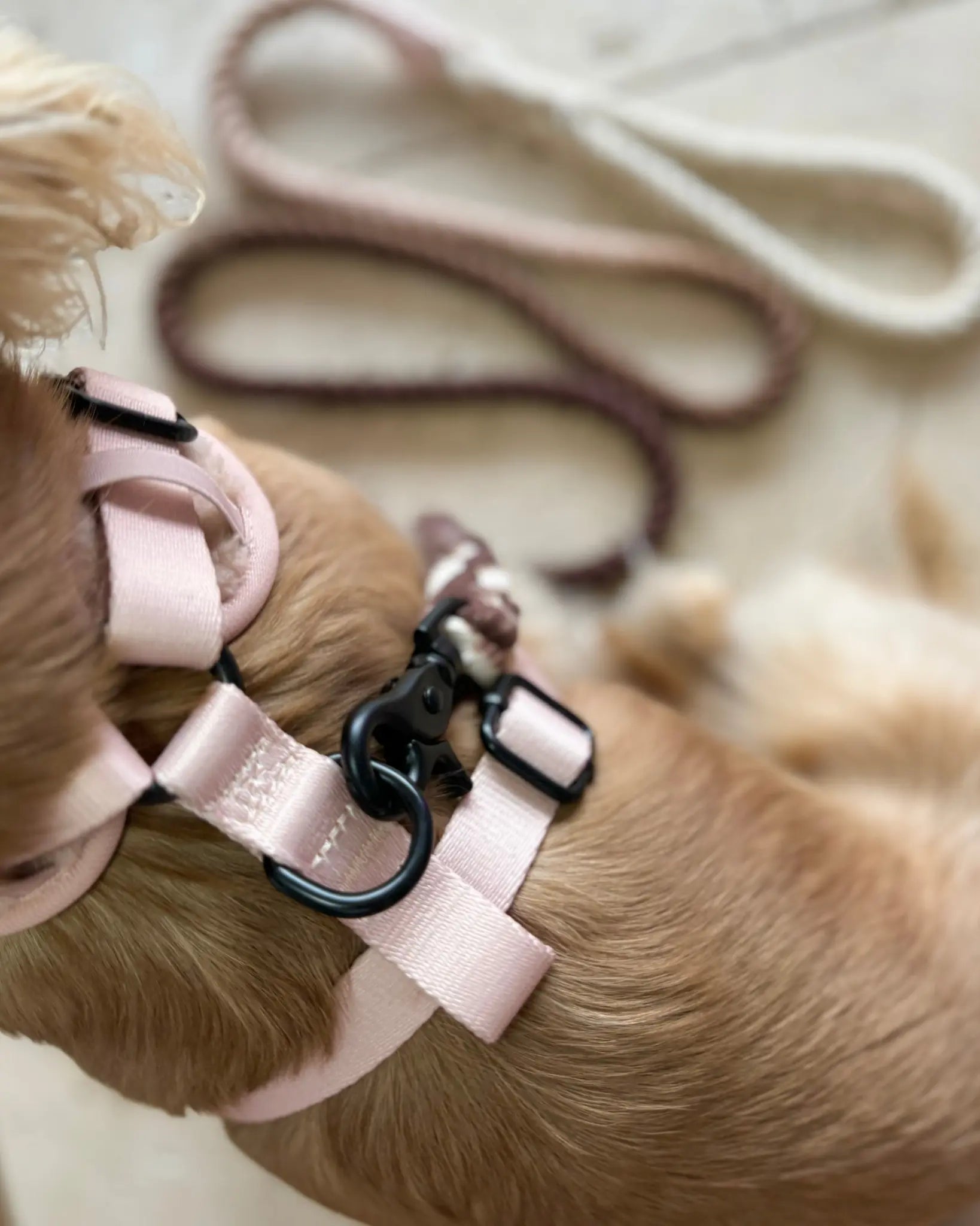 TEDDY FLEECE HARNESS IN BEIGE - Image #4