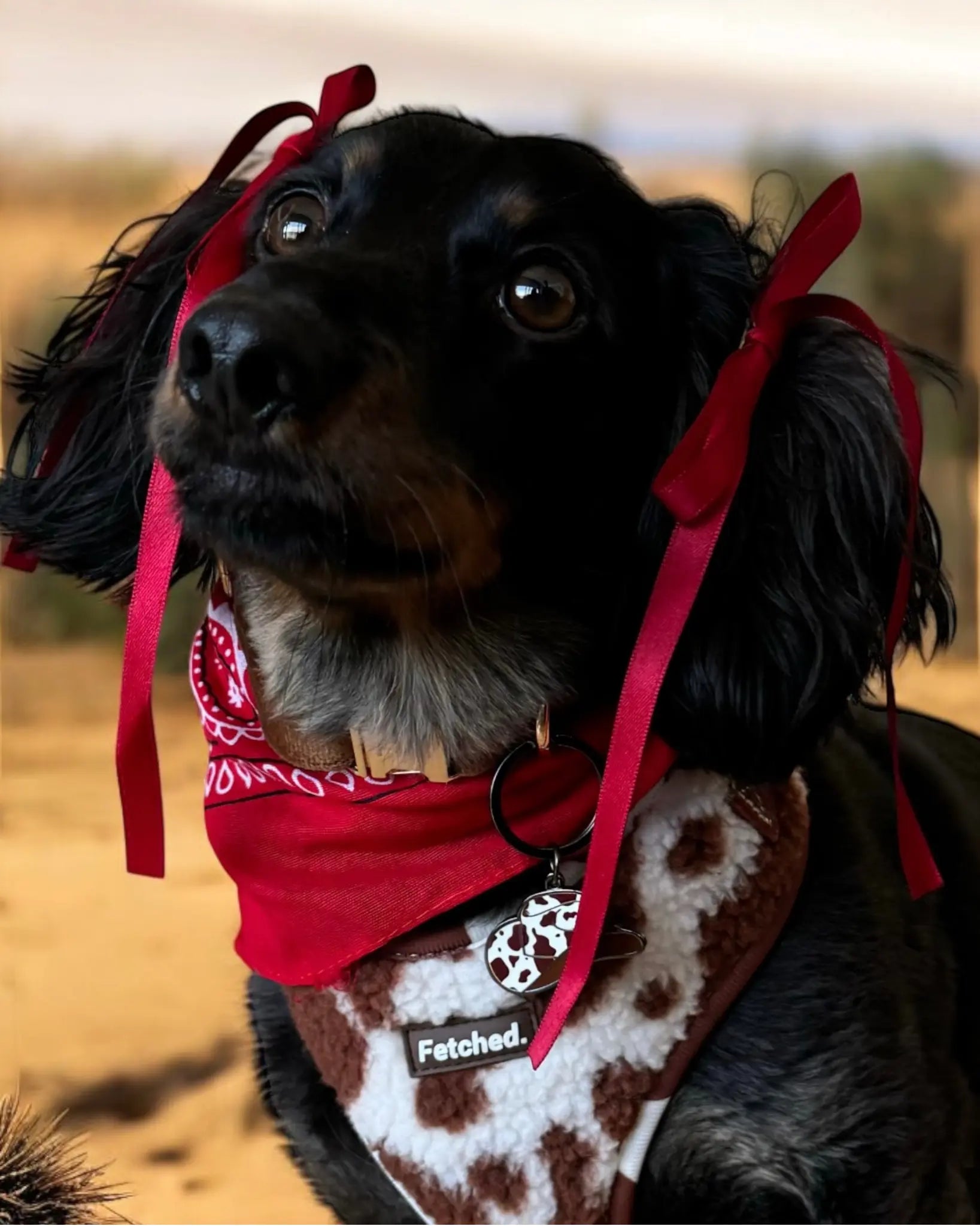 HAIR BOWS IN RED - Image #1