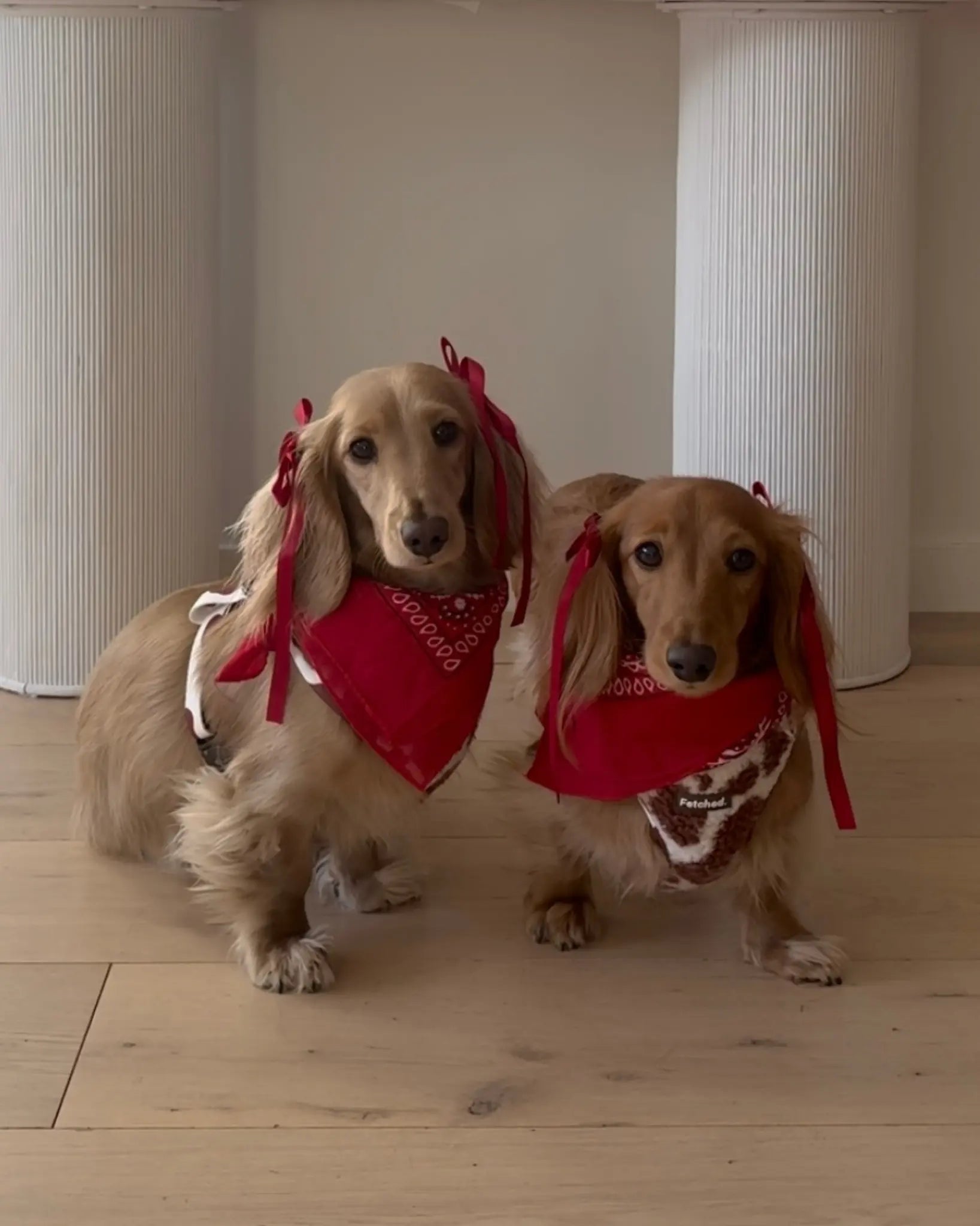 HAIR BOWS IN RED - Image #3