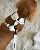 TEDDY FLEECE HARNESS IN CREAM - Image #4