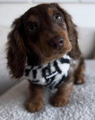 TEDDY FLEECE HARNESS IN RACING STRIPES - Image #7