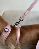 CLASSIC LEASH IN PALE PINK - Image #2