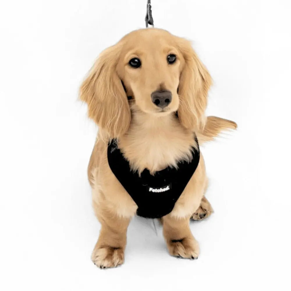 TEDDY FLEECE HARNESS IN BLACK - Image #5