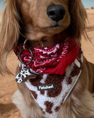 BANDANA - Image #1